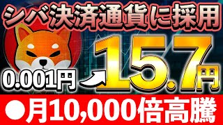 【SHIB（柴犬コイン）】少額で仕込めるのも今のうち！○ヶ月後10000万倍高騰開始か⁉︎【仮想通貨】【DOGE】【イーロンマスク】【XRP】【CAW】 [upl. by Avehs]