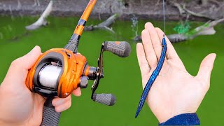 Catch 10x MORE Bass  THROW THIS Bass Fishing Tips [upl. by Adnohsad518]