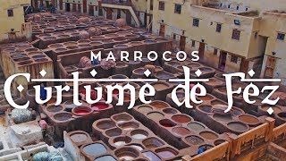 Um passeio pela Medina de Fez e seu famoso Curtume  Marrocos l Ep 5 [upl. by Omidyar]