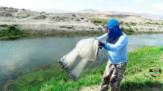 La Mejor Pesca de Mojarras Grandes  Pesca con Atarraya [upl. by Clarance]