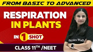 Respiration in Plants in One Shot  NEETClass 11th Boards  Victory Batch [upl. by Rekrap]