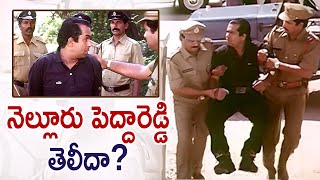 Brahmanandams Nelluru Pedha Reddy Comedy  Anaganaga Oka Roju Comedy Scenes  Brahmi Comedy Scenes [upl. by Naiviv]