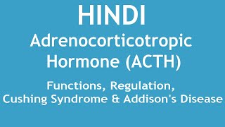 Adrenocorticotropic Hormone ACTHFunctionsRegulationCushing Syndrome amp Addisons Disease HINDI [upl. by Trant]