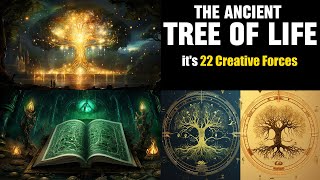 The Ancient Tree of Life and its 22 Creative Forces [upl. by Vladi]