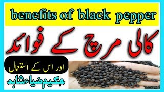 Kaali Mirch Ke fawaid ur us ke  benefits of black pepper [upl. by Aihsele643]