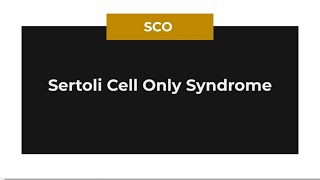 Sertoli cell only syndrome [upl. by Terrell964]