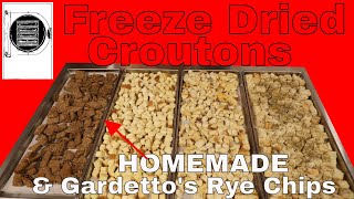 Freeze Dried Croutons  Parmesan Sweet Croutons amp Copycat Gardettos Rye Chips [upl. by Brieta]