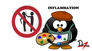 Inflammation Vs Infection [upl. by Eulau]