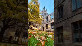 University of Glasgow one of the UK’s oldest and most prestigious institutions glasgow [upl. by Reine]