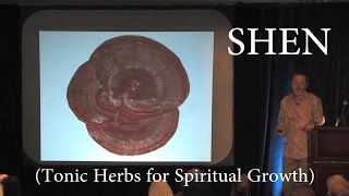 Herbs for Spiritual Health Shen w Rehmannia Dean Thomas [upl. by Corb]