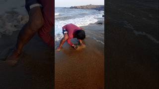 Catching Mole Crabs with Empty Hand fishing fishingvideos thoondilulagam seafishing [upl. by Georglana]