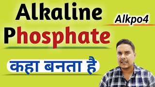 Alkaline phosphatase  Alkaline phosphatase test in hindi [upl. by Odelia]