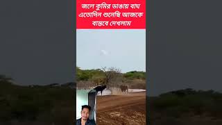 Upore bagh panite kumir kothay jabe praniti [upl. by Arved]