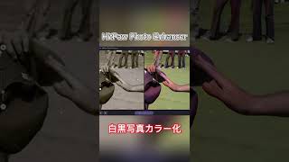 shorts HitPaw Photo Enhancerを使って、伝説のサッカー選手マラドーナ昔の姿再現！ [upl. by Lacim]