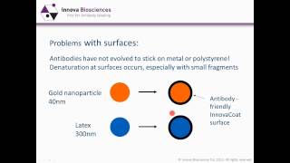 Immunoassay Optimization Webinar Maximizing immunoassay sensitivity with smart conjugate design [upl. by Larine519]