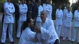 Taijiquan tui shou combat [upl. by Molini]