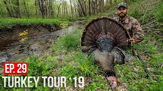 PENNSYLVANIA PUBLIC LAND GOBBLER [upl. by Atsirt]