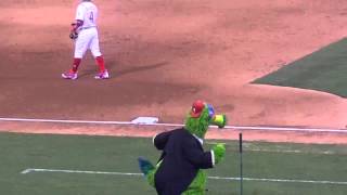 The Phillie Phanatic  quotNew York New Yorkquot [upl. by Buyers]