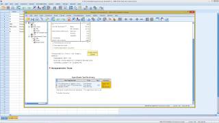 SPSS  Distribution Tests  Normal Distribution [upl. by Alleunam538]