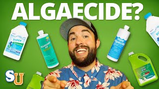 The TRUTH About Using ALGAECIDE In Your POOL  Swim University [upl. by Anehc]