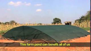 The Farm Pond USAID Brings Rainwater Harvesting to Makueni County [upl. by Ahtar]