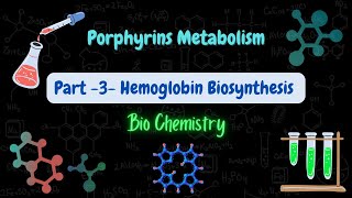 Porphyrins Metabolism  part 3 Hemoglobin Biosynthesis استقلاب البورفيرينات والهيموغلوبين [upl. by Hainahpez]