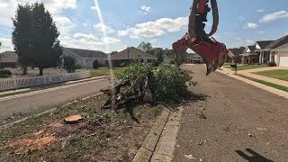 I tore this Bradford Pear up with the Rotobec grapple 💪🏻💪🏻 [upl. by Argyres760]