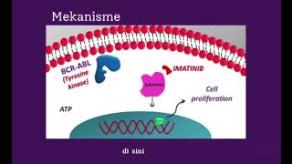 Mekanisme Kerja Obat Imatinib💊 [upl. by Noonan]