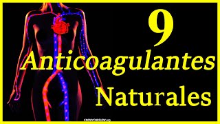 9 anticoagulantes naturales Combate coágulos sangre espesa trombos TVP etc [upl. by Hsan]