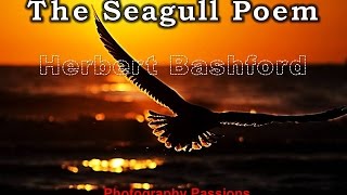 SEAGULL POEM Famous Seagull Poem By Herbert Bashford [upl. by Aneelehs53]