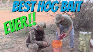 Easy DIY Hog Bait  GUARANTEED to bring in wild hogs [upl. by Purcell]