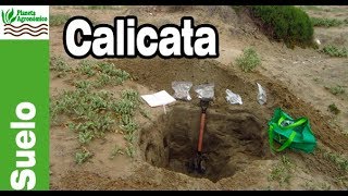 La CALICATA para 👩‍🔬 ESTUDIAR la relación ⛏️ SUELO planta aspectos básicos [upl. by Wendall]