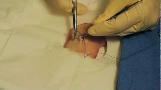 How to Suture with Dr Bones Dr Alton [upl. by Leumek]