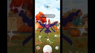 Shiny Darkrai on my 5th Raid ✨ PokémonGO shorts [upl. by Novoj]