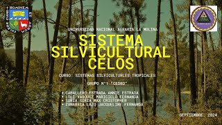 Sistema Silvicultural CELOS ‐ UNALM Facultad de Ciencias Forestales [upl. by Arley]