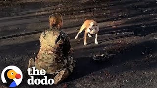 Dog Reunites With His Mom After A Year  The Dodo [upl. by Ojyma383]