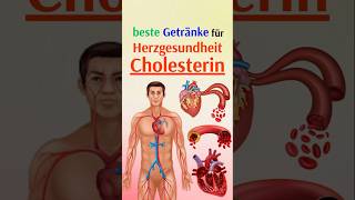 Die besten Getränke für Herzgesundheit und Cholesterin [upl. by Celestyn]