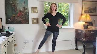 Balance Exercises Seniors and Beginners  No Equipment needed [upl. by Aime]