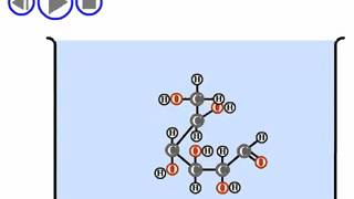 Cyclization of glucose [upl. by Hallsy]