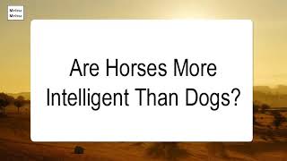 Are Horses More Intelligent Than Dogs [upl. by Aronas]