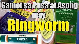 Solution sa Pusa at Asong may Ringworm [upl. by Erbe632]