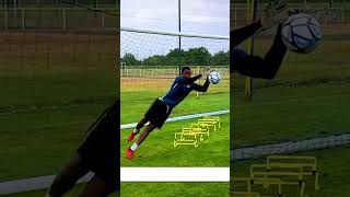 Pliometrie et plongeons entraînement spécifique gardien de but Goalkeeper training [upl. by Otreblaug131]