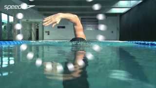 Freestyle Swimming Technique  Stroke [upl. by Gregor]