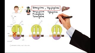 Pharmacology – ANTIBIOTICS – DNA RNA FOLIC ACID PROTEIN SYNTHESIS INHIBITORS MADE EASY [upl. by Itak]