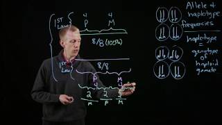 Allele and Haplotype Frequencies [upl. by Lanaj]