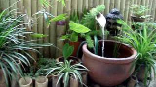 My Sunny Balcony  The Zen Garden [upl. by Dillie]