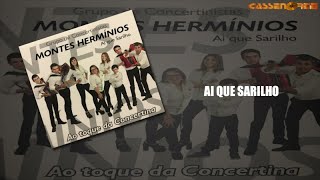 Grupo de Concertinistas Montes Hermínios  Ai que sarilho [upl. by Pyszka]