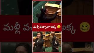 haka newzilandmp Maori funnymp [upl. by Lonny]