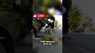 😱Fireman Saves Kitten from Burning Building😱 [upl. by Kerr717]