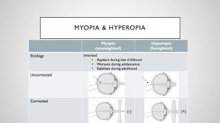 Vision Loss and Refractive Error [upl. by Anertal]